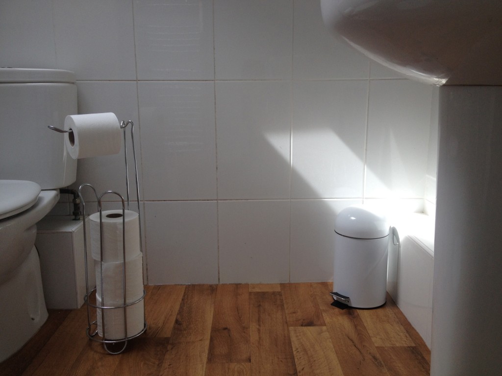 Bathroom detail