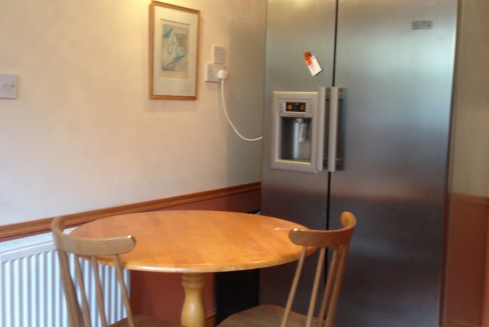 American fridge and table